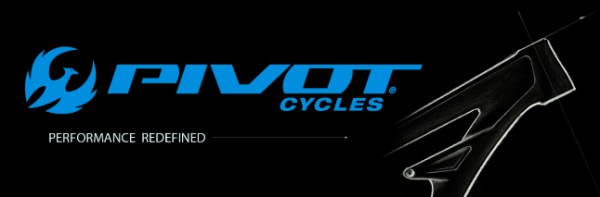 CAD Hardware Provider for Pivot Cycles